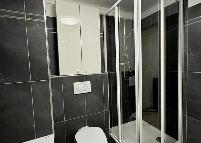 Appartement Dalimilova